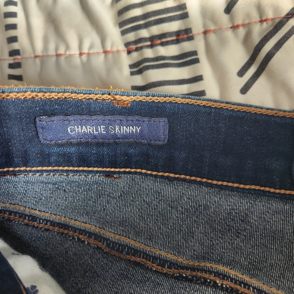 Lucky Brand Charlie Skinny Ankle Jeans 4/27